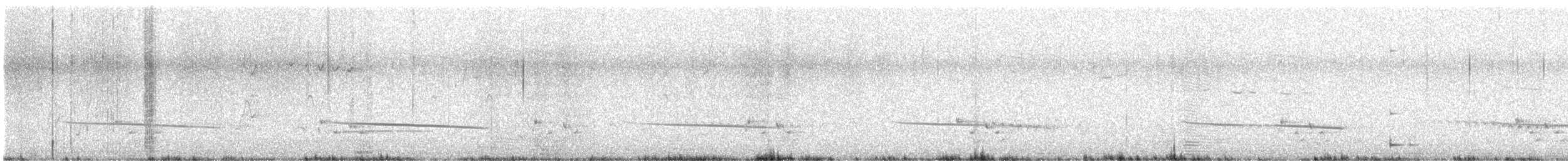 Black-eared Cuckoo - ML609374830