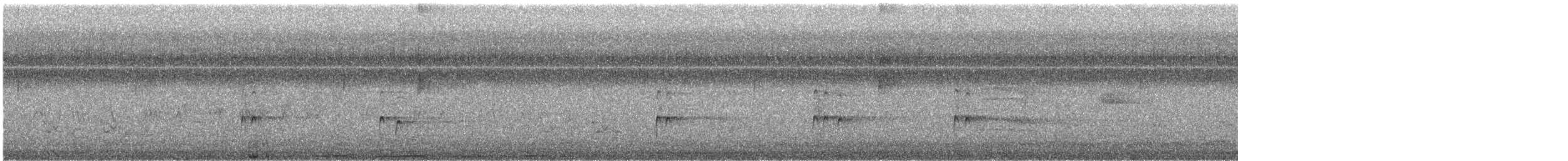 チャバラマユミソサザイ - ML609374832