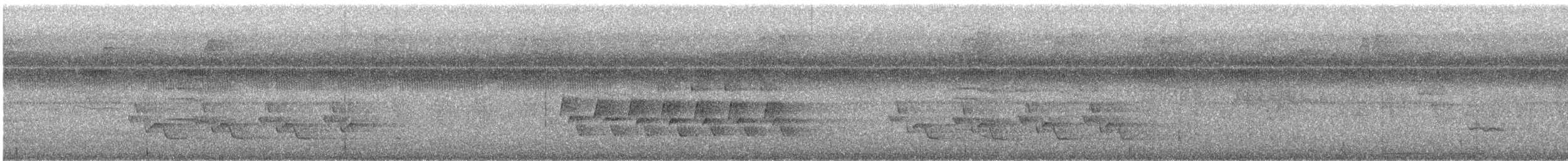 チャバラマユミソサザイ - ML609374833