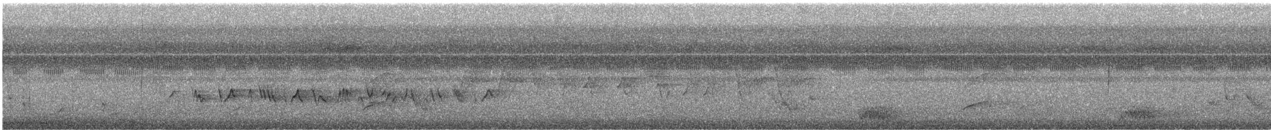 ルリイカル - ML609374839