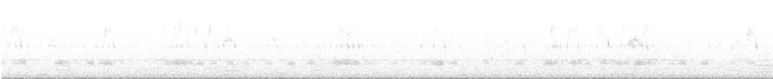 Red-crested Pochard - ML609376796