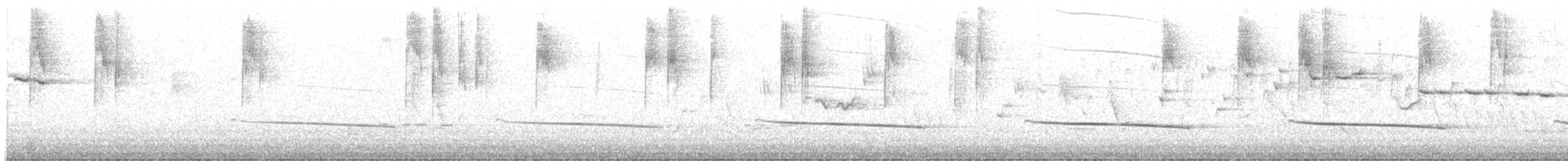 Black-eared Cuckoo - ML609378487