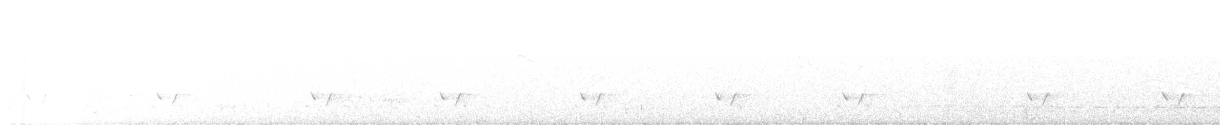 Streifenpanthervogel - ML609379253