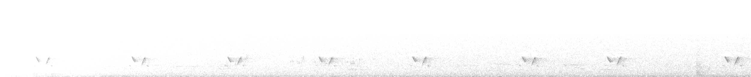 Streifenpanthervogel - ML609379255
