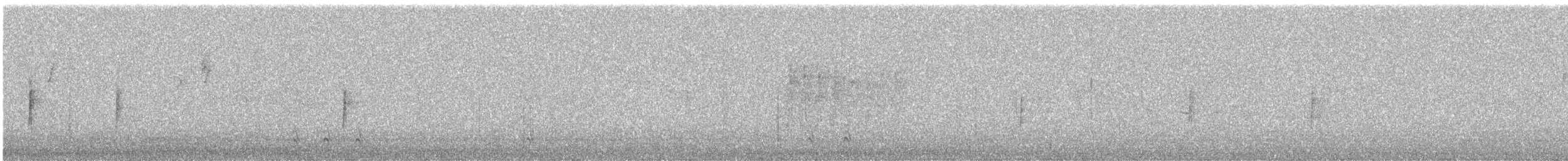 キヅタアメリカムシクイ（coronata） - ML609381809