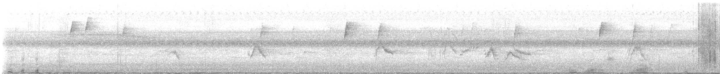 Tordo di Baird - ML609381863