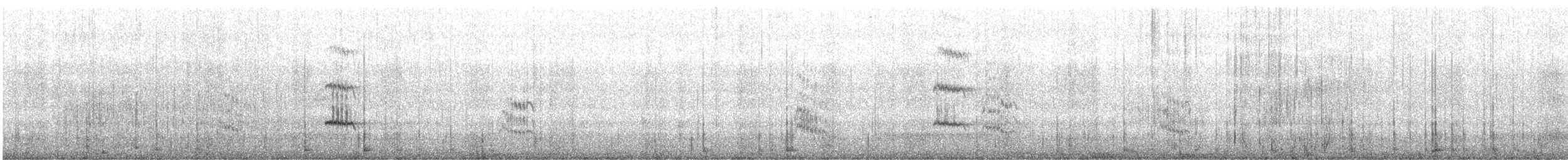 Royal Tern - ML609384684