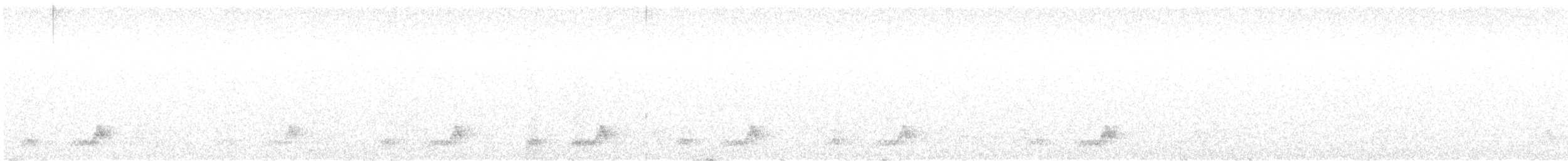 Mexikonachtschwalbe - ML609384762
