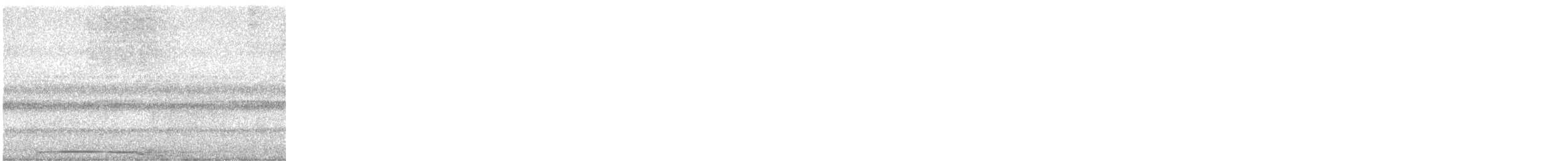 Barred Owl - ML609399778