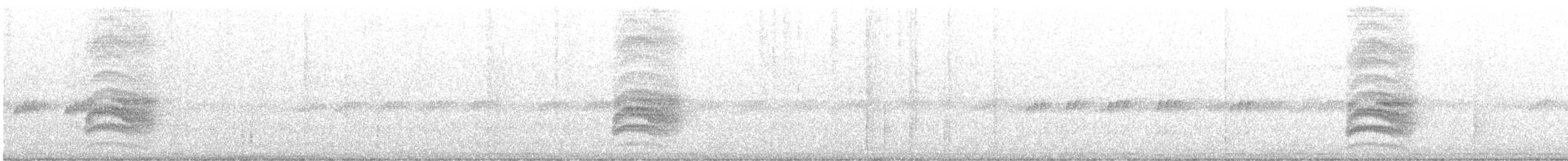 Braunrücken-Ameisenvogel - ML609401692