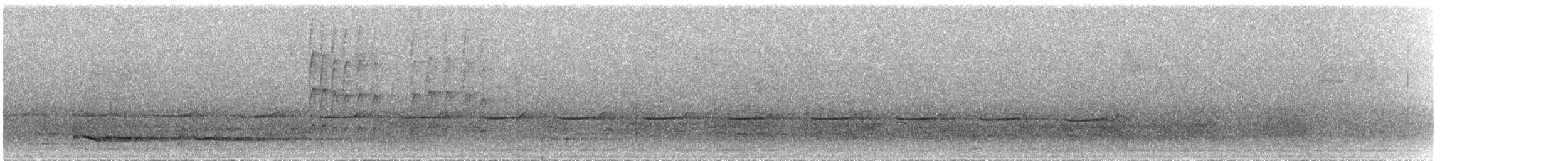 Кустарниковая кукушка [группа variolosus] - ML60940231