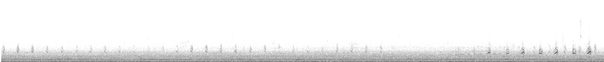 Magellanic Snipe - ML609403501