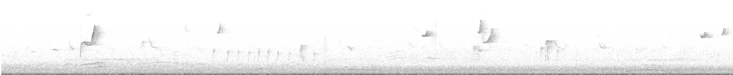 Western Flycatcher (Pacific-slope) - ML609405527