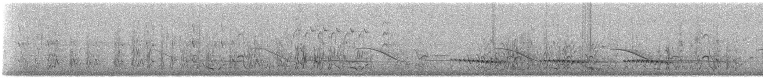 Black-eared Cuckoo - ML609406197