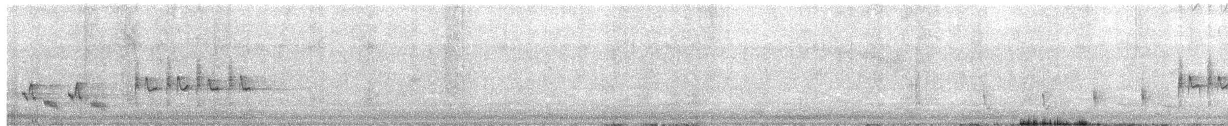 Australian Reed Warbler - ML609407231