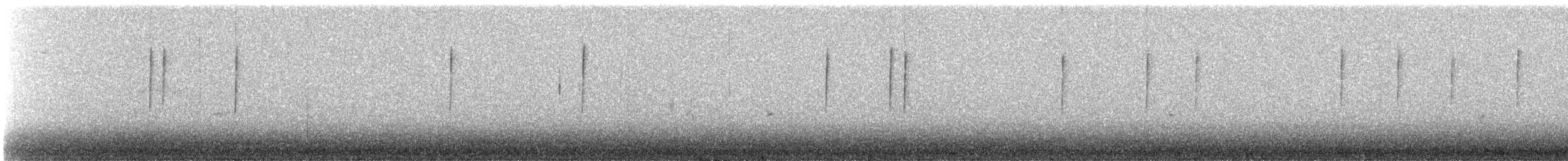 Colibri de Costa - ML609407827