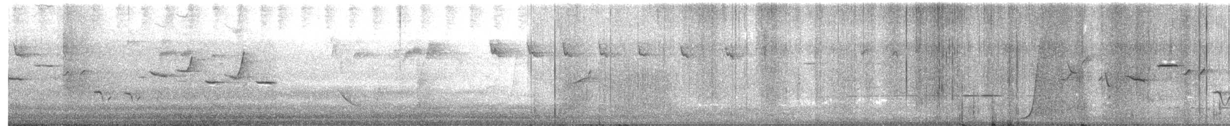 Speckled Warbler - ML609408503