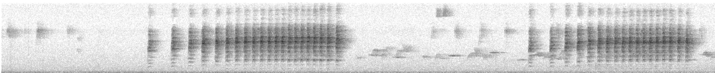 Anabate vergeté - ML609410490