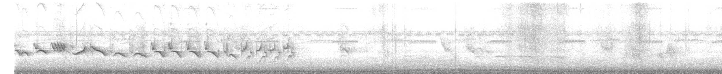 Kestane Karınlı Koca Tohumcul - ML609417473