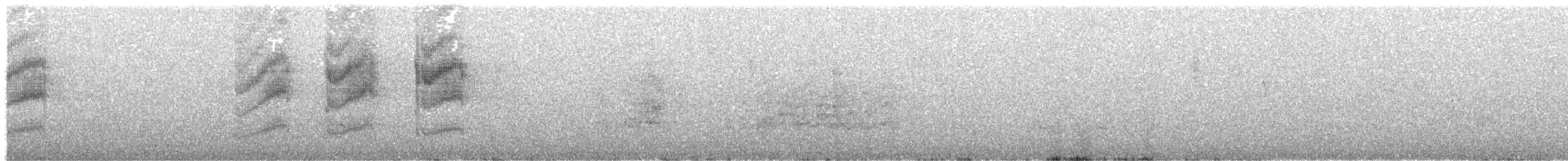 Sclater's Tyrannulet - ML609419407