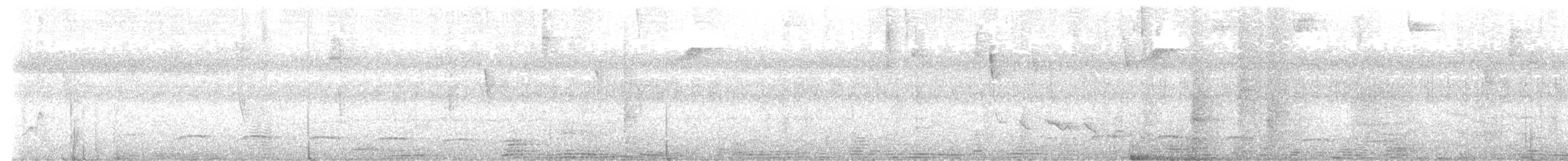 White-streaked Antvireo - ML609426717