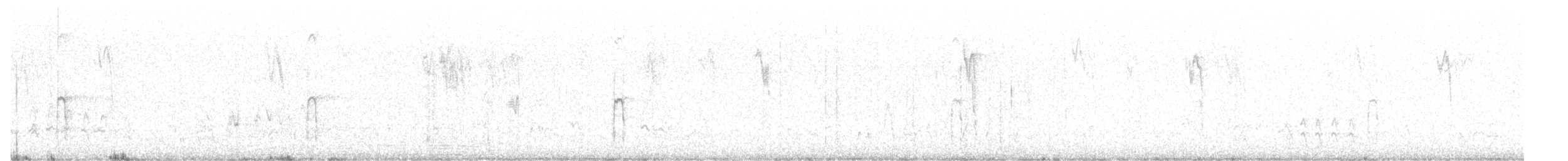 Sert Tüylü Ağaçkakan [villosus grubu] - ML609431413