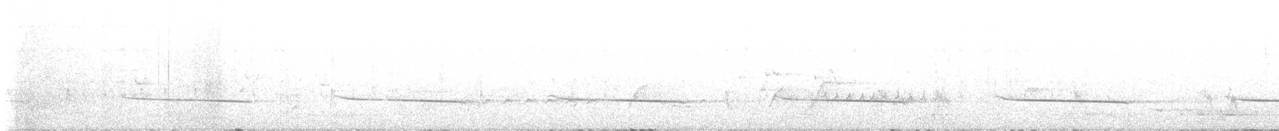 Black-eared Cuckoo - ML609433525