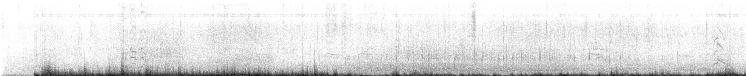 ボナパルトカモメ - ML609434451