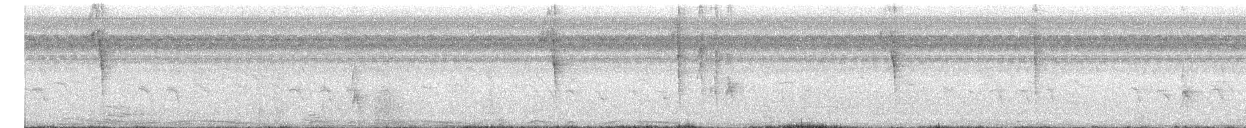 holub neotropický - ML609437498