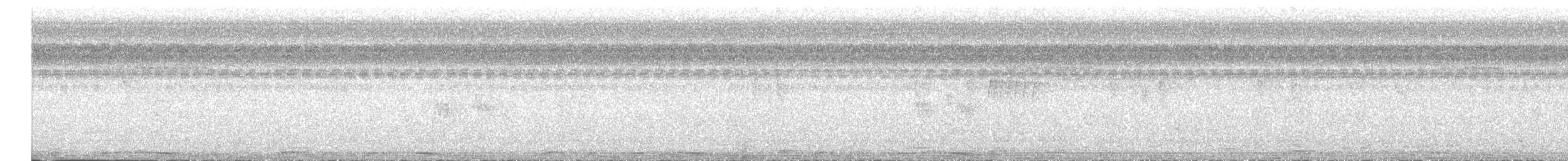 holub neotropický - ML609437548