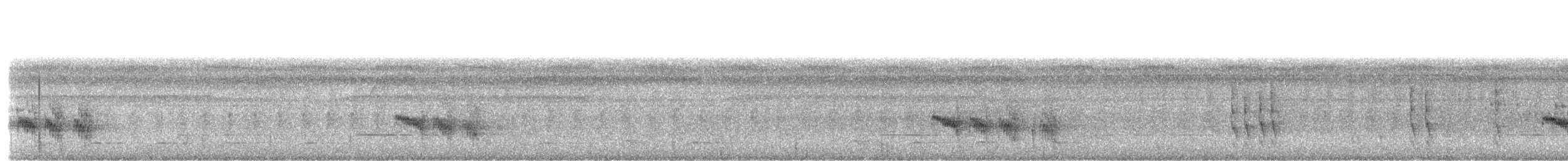 Schwarzbrust-Ameisenfänger - ML609438219