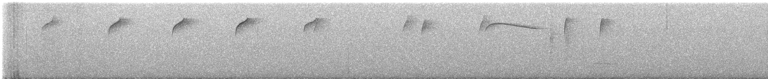 Spotted Quail-thrush - ML609438346