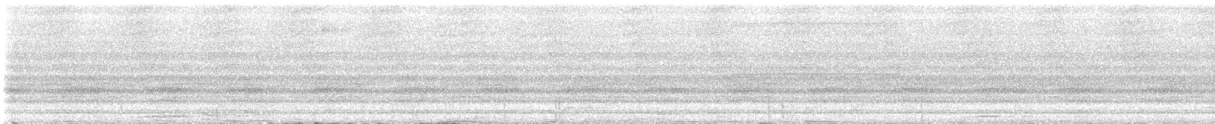 holub tenkozobý [skupina albicapilla] - ML609438767