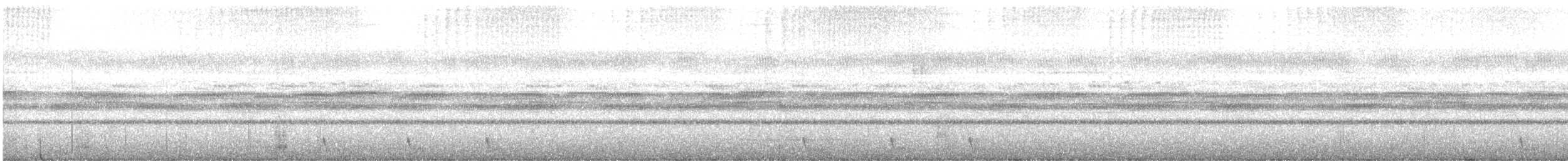 Large-tailed Nightjar - ML609440031