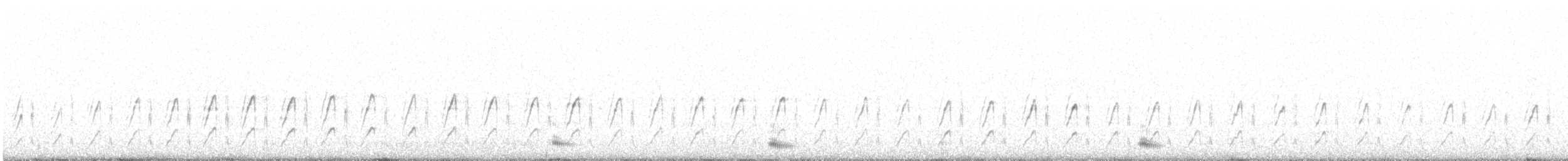 Patagonienerdhacker [cunicularia-Gruppe] - ML609440632