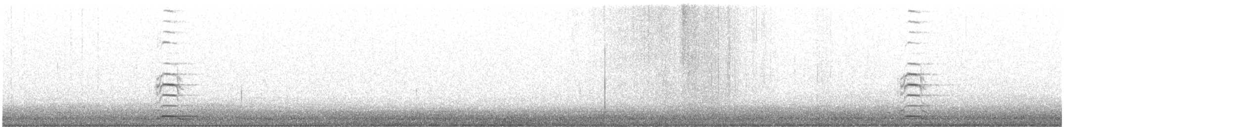 Cygne siffleur - ML609443294