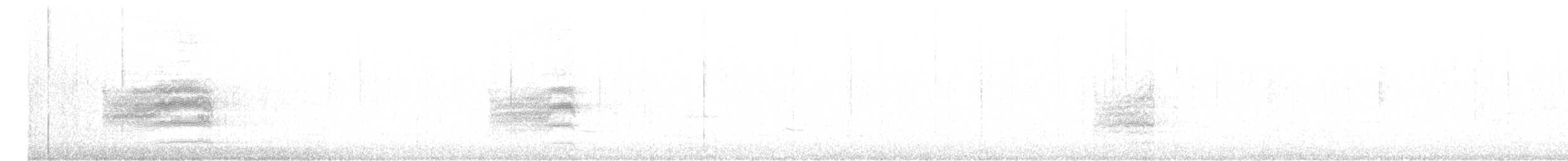 Тауї плямистий - ML609445235