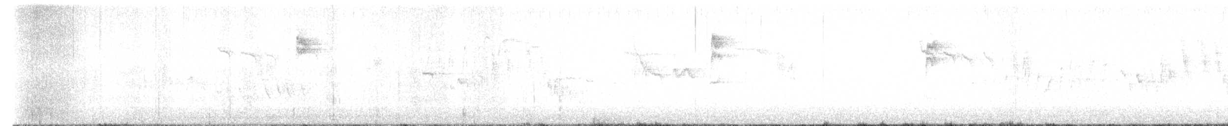 Lavandera Blanca (yarrellii) - ML609449492