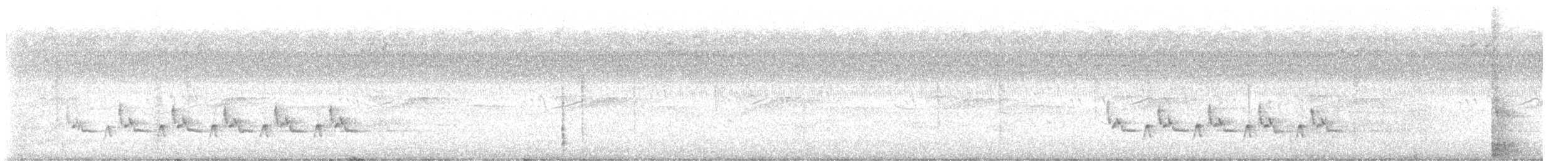 Каролинский крапивник - ML609455594