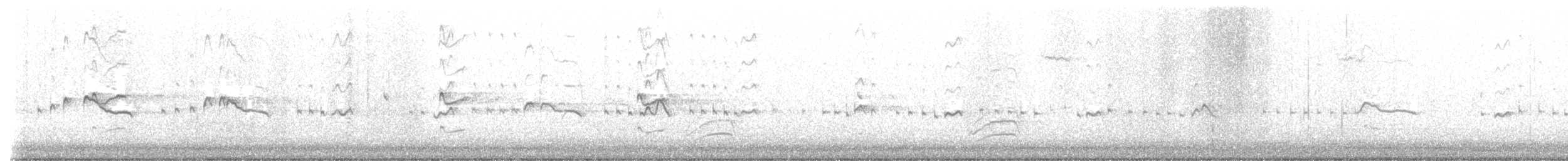 Keilschwanz-Regenpfeifer - ML609455941