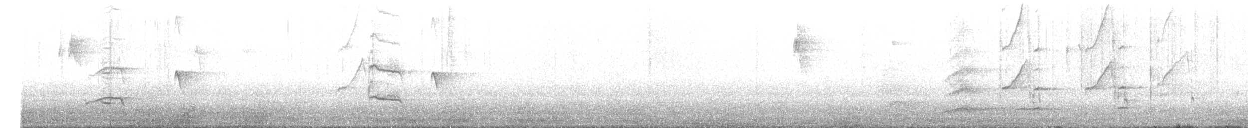 Сизойка чорноголова [група stelleri] - ML609456616