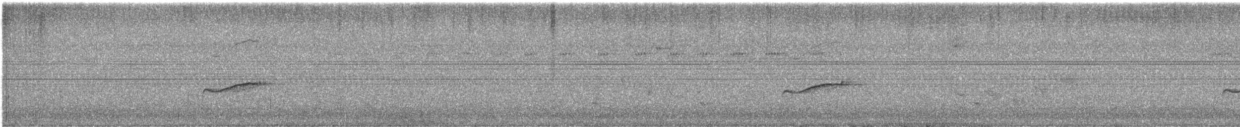 Eastern Wood-Pewee - ML609457716