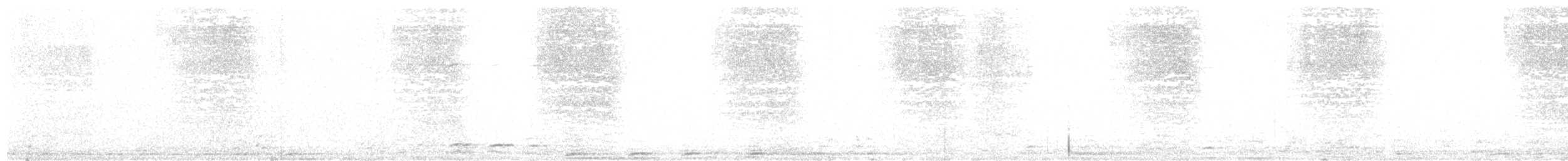 Western Barn Owl - ML609461304