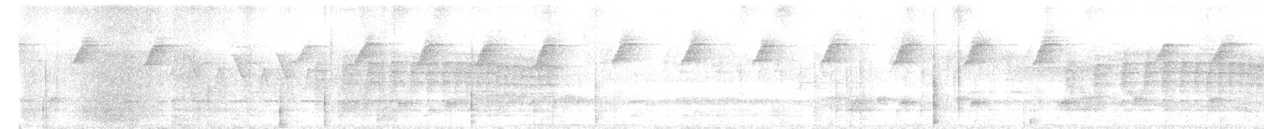 Rufous Motmot - ML609467987