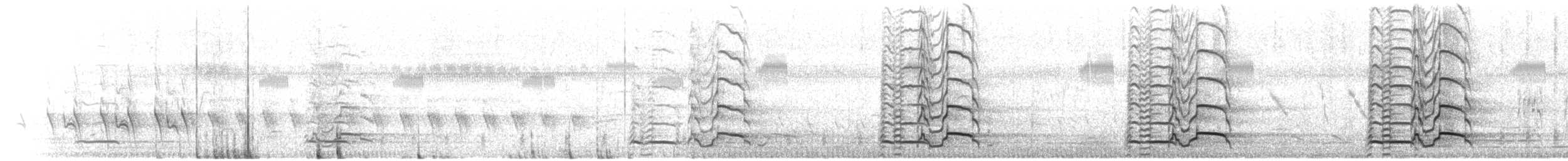 kragegjeterfugl - ML609485525