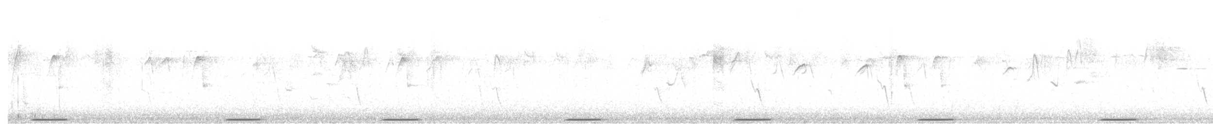 holub pestrokřídlý - ML609490053