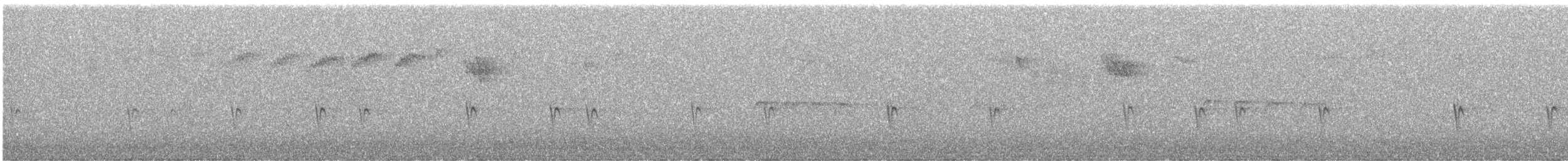 Bec-croisé des sapins (type X) - ML609492040
