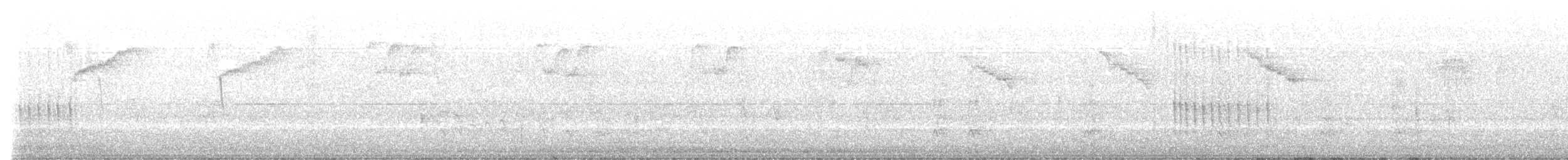 Belted Kingfisher - ML609495076