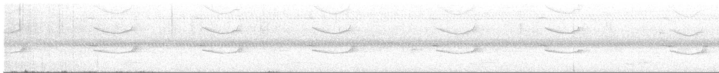 Chotacabras Serrano (longirostris) - ML609495443