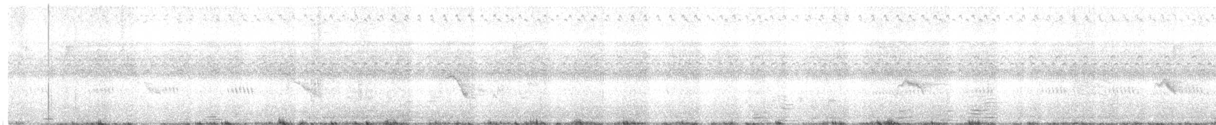 Tordo di Baird - ML609497840